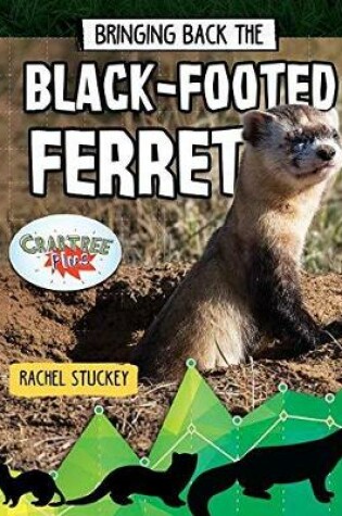 Cover of Bringing Back the Black-Footed Ferret