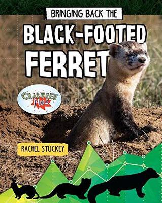 Book cover for Bringing Back the Black-Footed Ferret