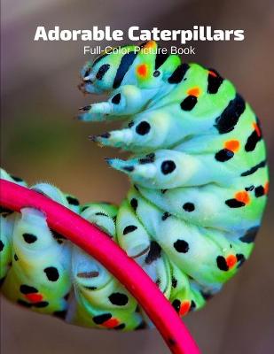 Book cover for Adorable Caterpillars Full-Color Picture Book
