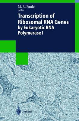 Book cover for Transcription of Ribosomal RNA Genes by Eukaryotic RNA Polymerase I