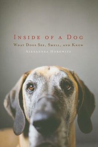 Cover of Inside of a Dog