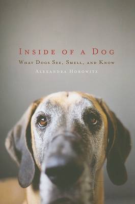 Book cover for Inside of a Dog