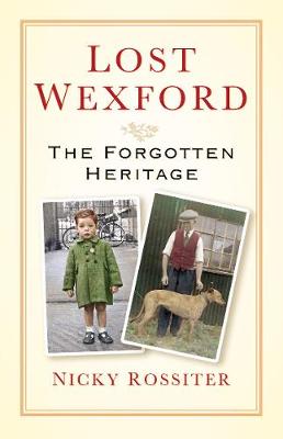Book cover for Lost Wexford