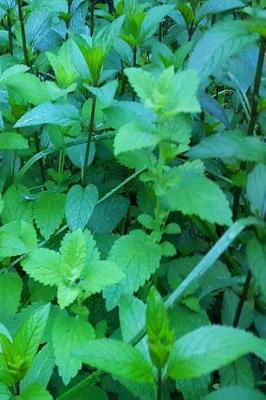 Cover of Herb Garden Journal Mint Leaves