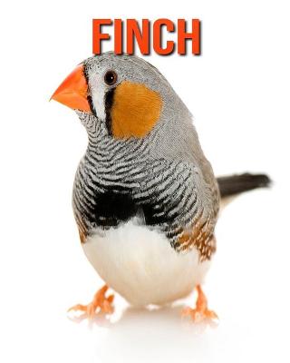 Book cover for Finch