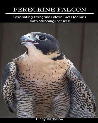 Book cover for Peregrine Falcon