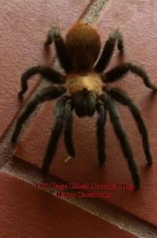 Cover of 100 Page Lined Journal Big Hairy Tarantula