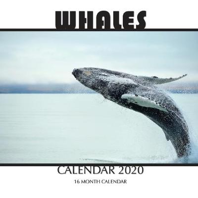 Book cover for Whales Calendar 2020