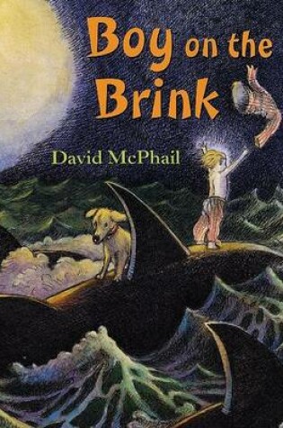 Cover of Boy on the Brink