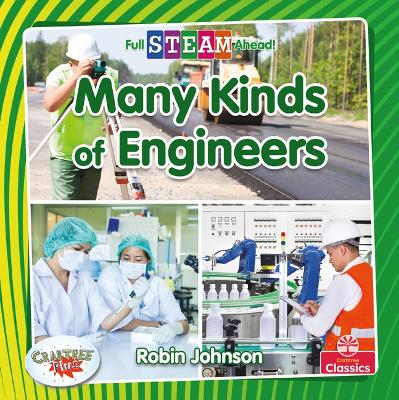 Book cover for Many Kinds of Engineers