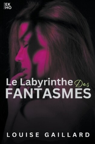 Cover of Le labyrinthe des fantasmes