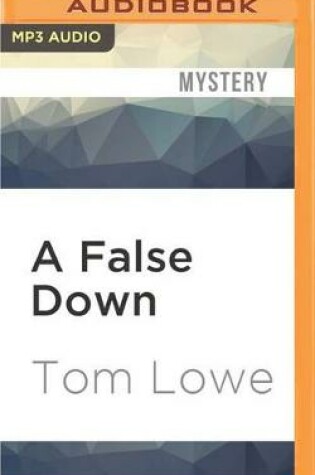 Cover of A False Down