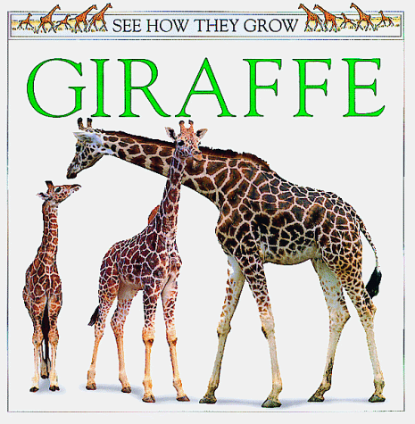 Book cover for Giraffe