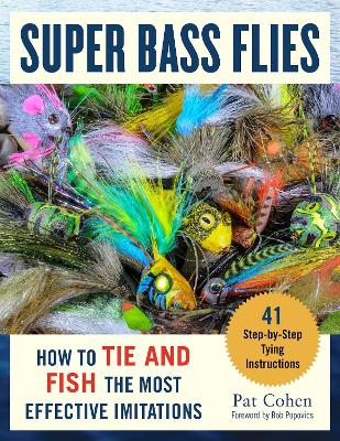 Book cover for Super Bass Flies