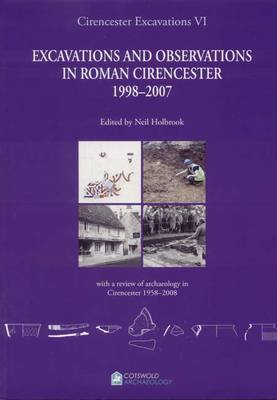 Book cover for Cirencester Excavations VI