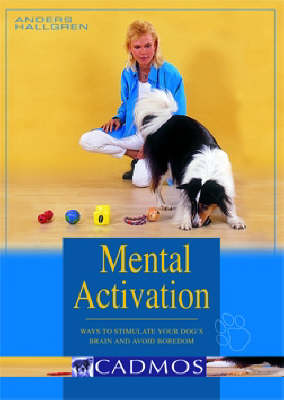 Book cover for Mental Activation