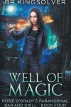 Book cover for Well of Magic