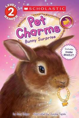 Book cover for Bunny Surprise (Scholastic Reader, Level 2: Pet Charms #2)