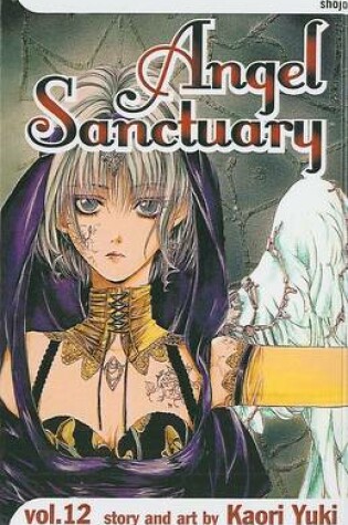 Cover of Angel Sanctuary, Volume 12