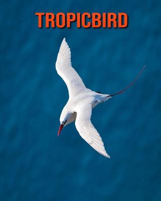 Book cover for Tropicbird