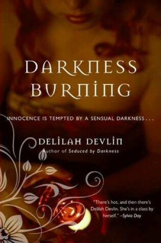 Cover of Darkness Burning