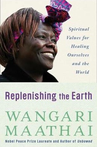 Cover of Replenishing the Earth: Spiritual Values for Healing Ourselves and the World
