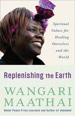 Book cover for Replenishing the Earth: Spiritual Values for Healing Ourselves and the World