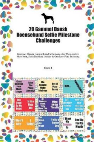 Cover of 20 Gammel Dansk Hoensehund Selfie Milestone Challenges