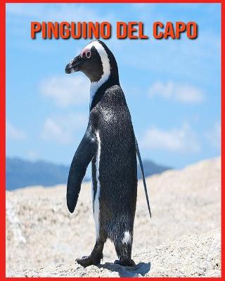 Book cover for Pinguino del Capo