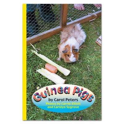 Book cover for Guinea Pigs