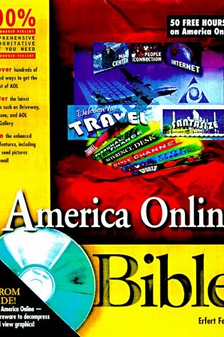 Cover of America Online Bible