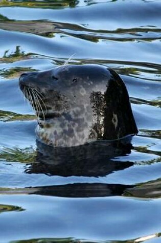 Cover of Harbor Common Seal Phoca Vitulina