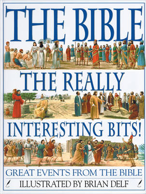 Book cover for The Bible: The Really Interesting Bits