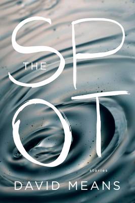 Book cover for The Spot