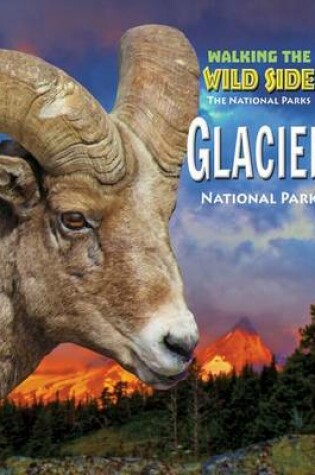 Cover of Glacier