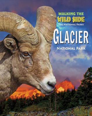 Book cover for Glacier