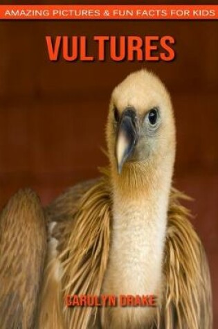 Cover of Vultures