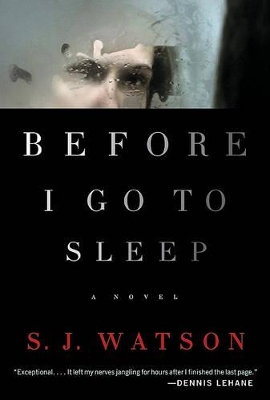 Book cover for Before I Go to Sleep