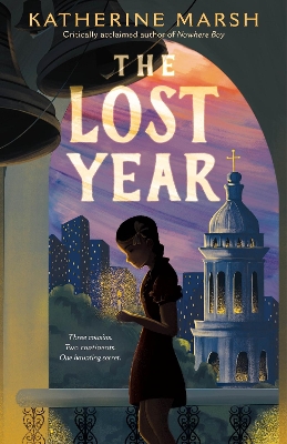 Book cover for The Lost Year