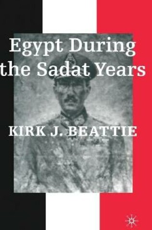 Cover of Egypt During the Sadat Years
