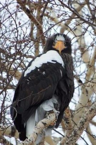 Cover of Magnificent Steller's Sea Eagle Bird of Prey Journal