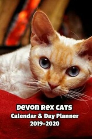 Cover of Devon Rex Cats Calendar & Day Planner 2019-2020