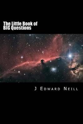 Cover of The Little Book of Big Questions