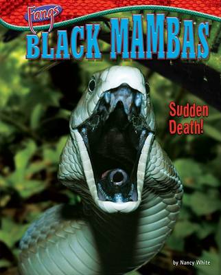 Book cover for Black Mambas