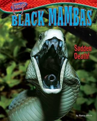 Cover of Black Mambas