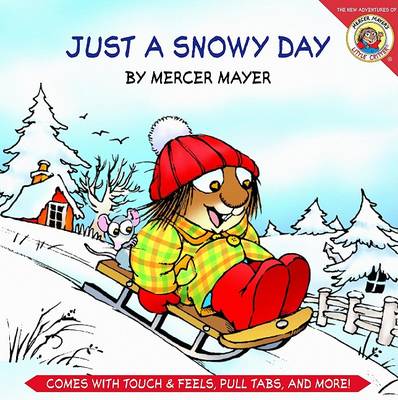Book cover for Just a Snowy Day