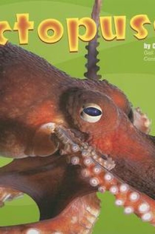 Cover of Octopuses