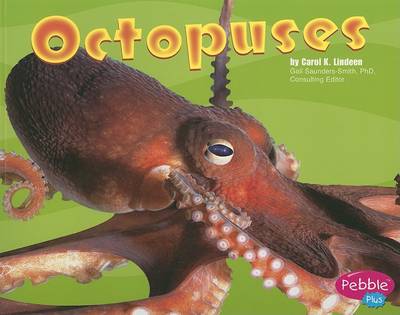 Cover of Octopuses