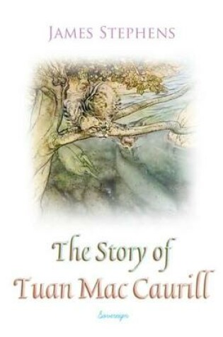 Cover of The Story of Tuan Mac Caurill