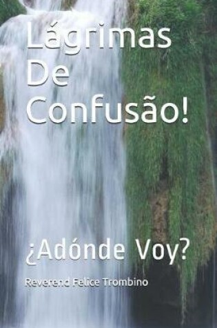 Cover of Lagrimas de Confusao!